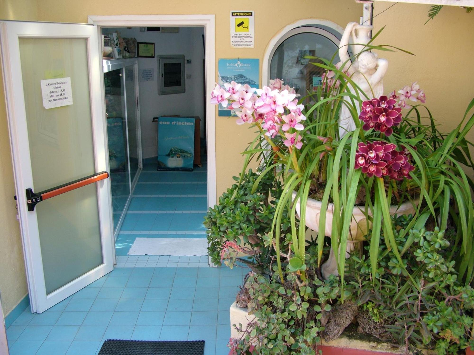 Hotel Giardino Delle Ninfe E La Fenice Ischia Esterno foto