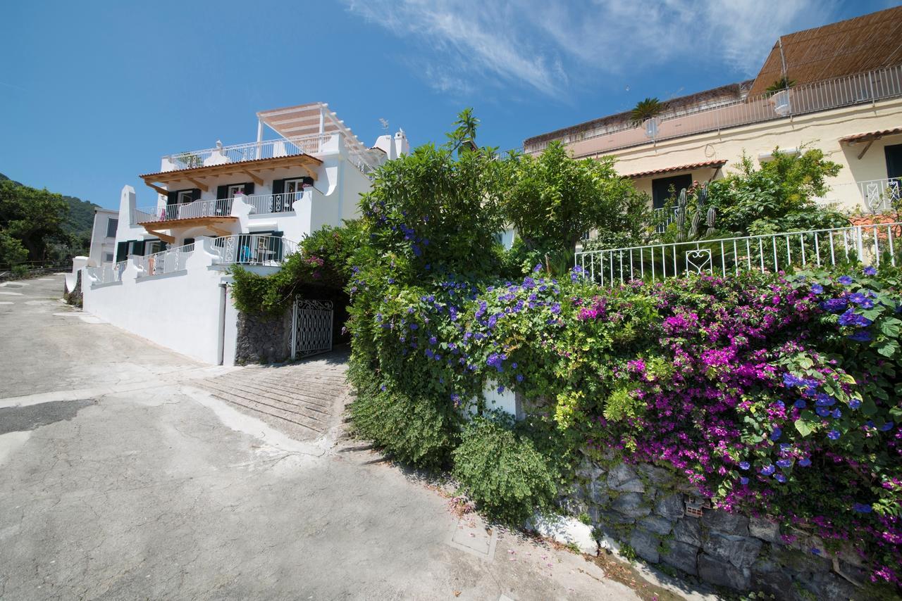 Hotel Giardino Delle Ninfe E La Fenice Ischia Esterno foto